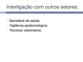 Interligação com outros setores:
 Secretária de saúde;
 Vigilância epidemiológica;
 Técnicos veterinários.
 