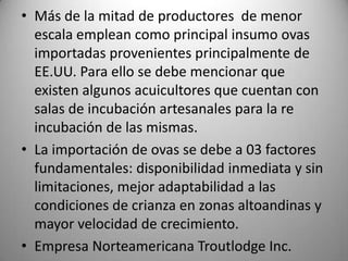 • Más de la mitad de productores de menor
escala emplean como principal insumo ovas
importadas provenientes principalmente de
EE.UU. Para ello se debe mencionar que
existen algunos acuicultores que cuentan con
salas de incubación artesanales para la re
incubación de las mismas.
• La importación de ovas se debe a 03 factores
fundamentales: disponibilidad inmediata y sin
limitaciones, mejor adaptabilidad a las
condiciones de crianza en zonas altoandinas y
mayor velocidad de crecimiento.
• Empresa Norteamericana Troutlodge Inc.

 