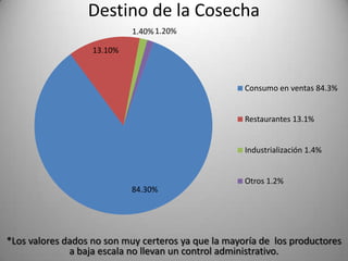 Destino de la Cosecha
1.40% 1.20%
13.10%

Consumo en ventas 84.3%

Restaurantes 13.1%

Industrialización 1.4%

84.30%

Otros 1.2%

*Los valores dados no son muy certeros ya que la mayoría de los productores
a baja escala no llevan un control administrativo.

 