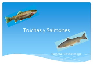 Truchas y Salmones



           Huancayo, Octubre del 2011
 