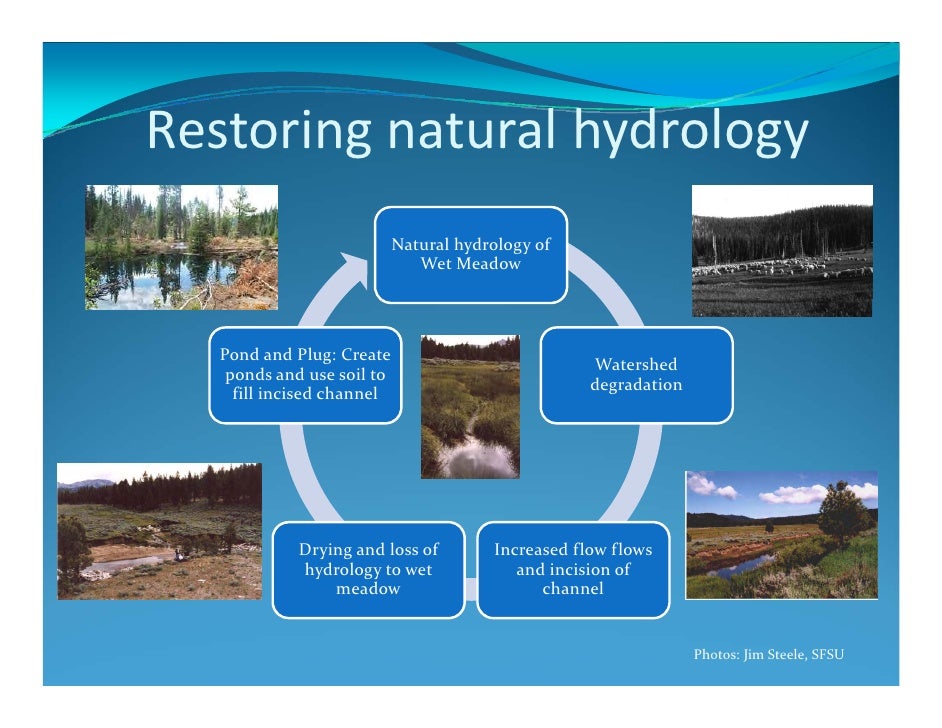 Truckee River Restoration