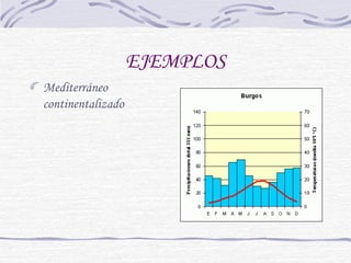 EJEMPLOS 
Mediterráneo 
continentalizado 
 