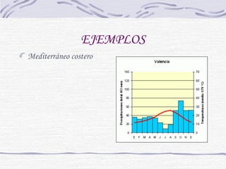 EJEMPLOS 
Mediterráneo costero 
 