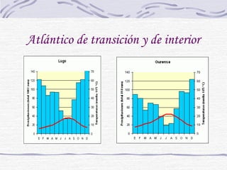 Atlántico de transición y de interior 
 