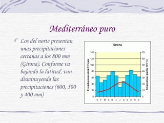 Mediterráneo puro 
Los del norte presentan 
unas precipitaciones 
cercanas a los 800 mm 
(Girona). Conforme va 
bajando la latitud, van 
disminuyendo las 
precipitaciones (600, 500 
y 400 mm) 
 