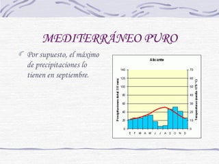 MEDITERRÁNEO PURO 
Por supuesto, el máximo 
de precipitaciones lo 
tienen en septiembre. 
 