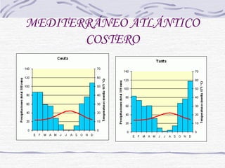MEDITERRÁNEO ATLÁNTICO 
COSTERO 
 