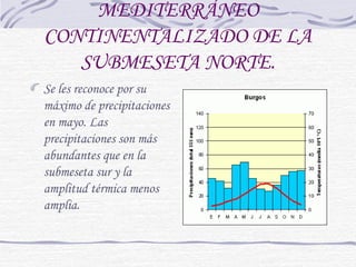MEDITERRÁNEO 
CONTINENTALIZADO DE LA 
SUBMESETA NORTE. 
Se les reconoce por su 
máximo de precipitaciones 
en mayo. Las 
precipitaciones son más 
abundantes que en la 
submeseta sur y la 
amplitud térmica menos 
amplia. 
 