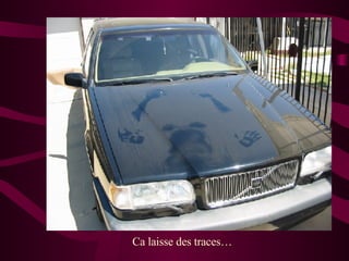 Ca laisse des traces…