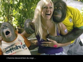 L’homme descend bien du singe … 