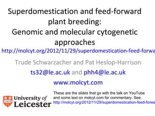 Superdomestication and feed-forward
            plant breeding:
   Genomic and molecular cytogenetic
              approaches
http://molcyt.org/2012/11/29/superdomestication-feed-forwa
     Trude Schwarzacher and Pat Heslop-Harrison
          ts32@le.ac.uk and phh4@le.ac.uk
                 www.molcyt.com
                   These are the slides that go with the talk on YouTube
                   and some text on molcyt.com for commentary. See:
                   http://molcyt.org/2012/11/29/superdomestication-feed-forwa
 