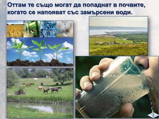 Оттам те също могат да попаднат в почвите,
когато се напояват със замърсени води.
 