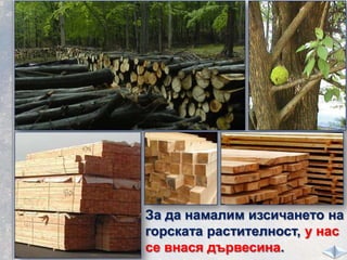 За да намалим изсичането на
горската растителност, у нас
се внася дървесина.
 