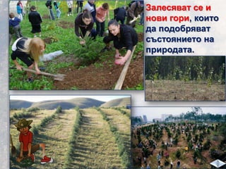 Залесяват се и
нови гори, които
да подобряват
състоянието на
природата.
 