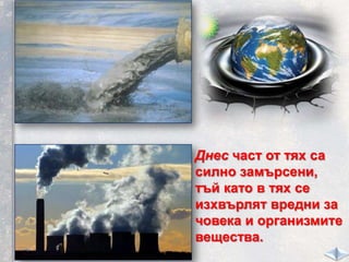 Днес част от тях са
силно замърсени,
тъй като в тях се
изхвърлят вредни за
човека и организмите
вещества.
 