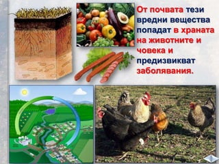 От почвата тези
вредни вещества
попадат в храната
на животните и
човека и
предизвикват
заболявания.
 