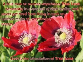 True love 31