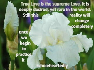 True love 34