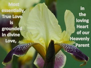True love 34