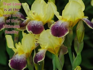 True love 34