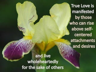 True love 34