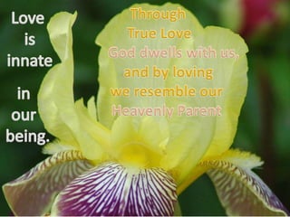 True love 34