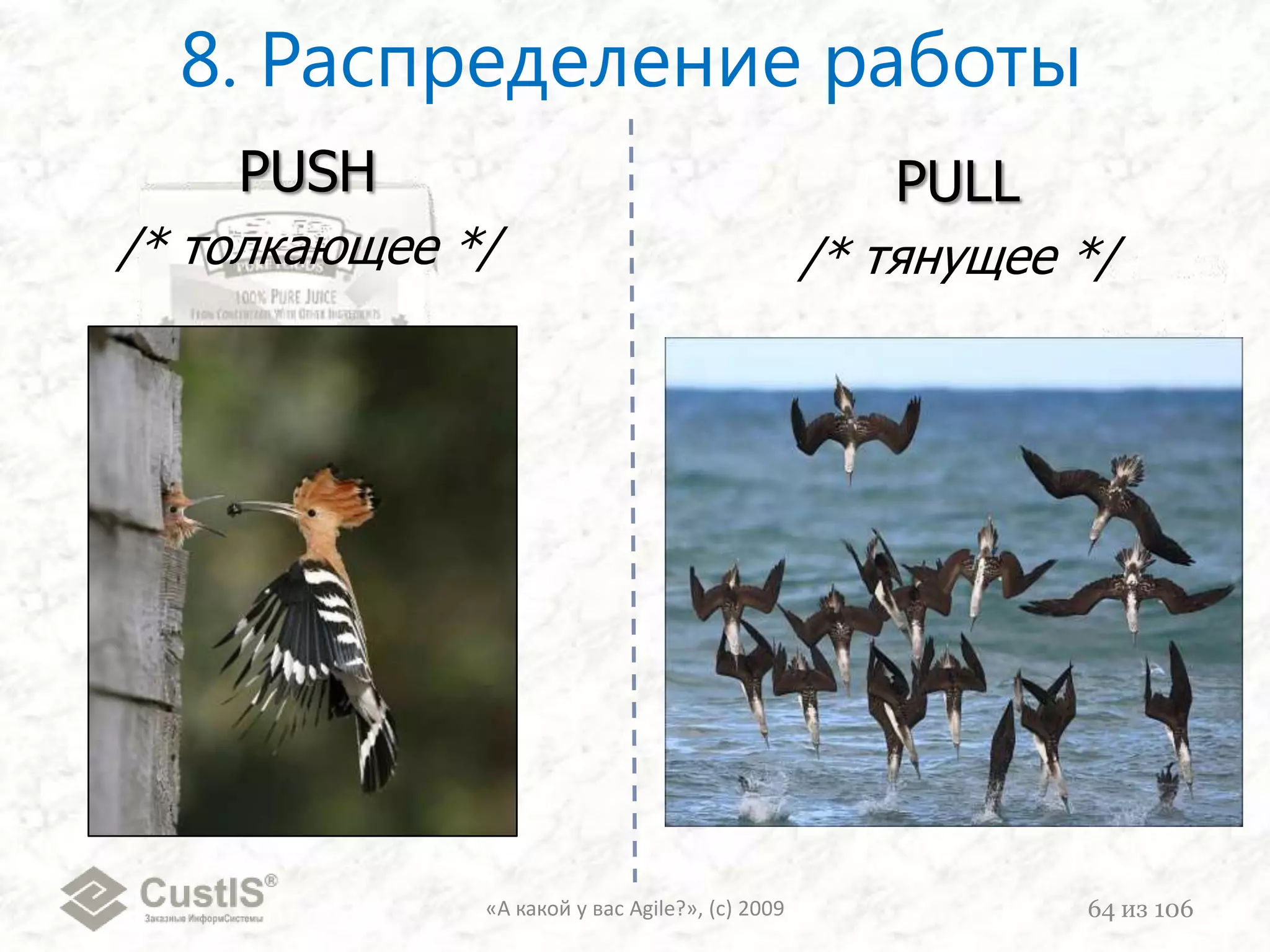 ФОТОПАУЗА{«А какой у вас Agile?», (с) 200949из 106