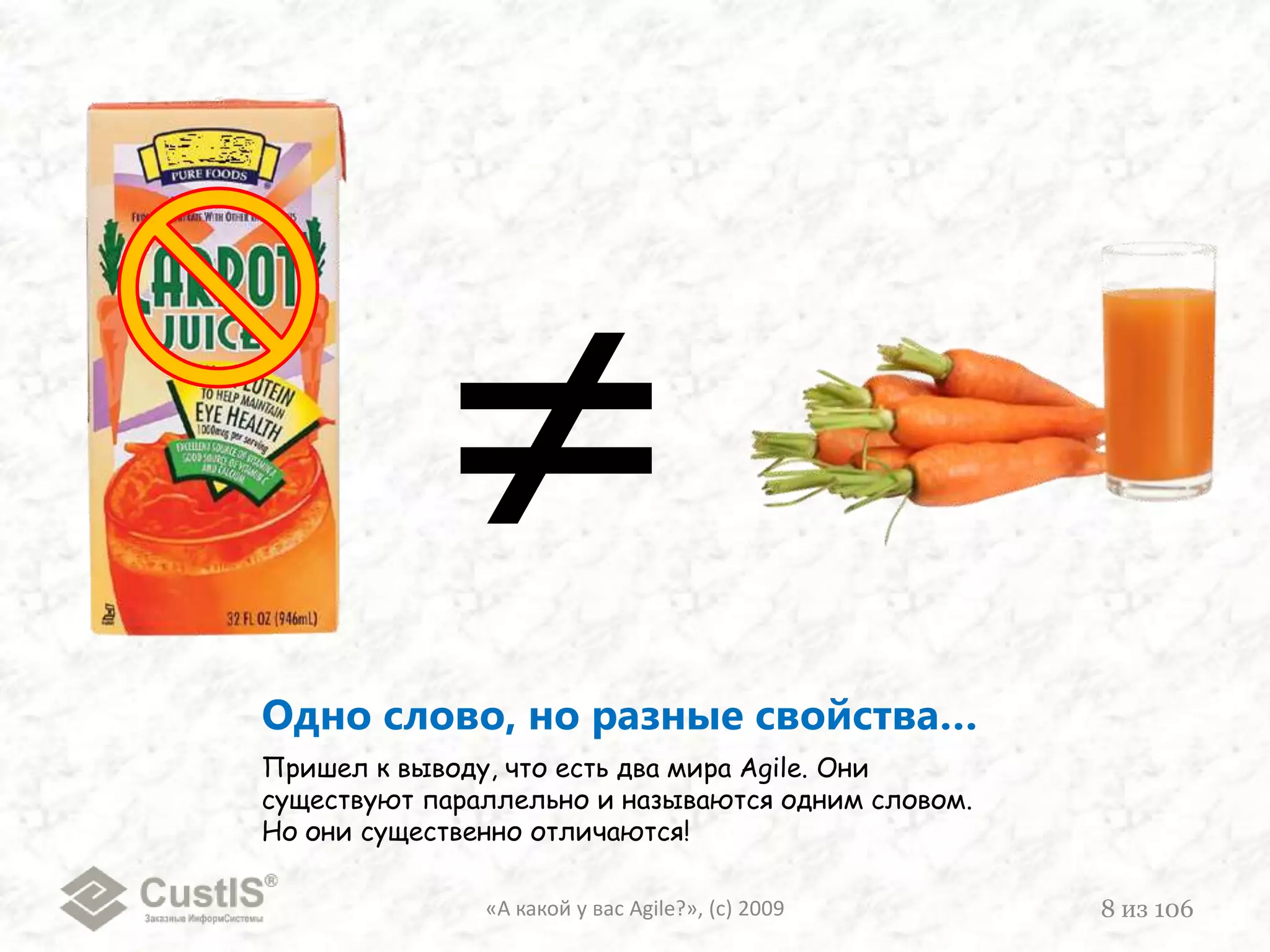 Два жизнеописания