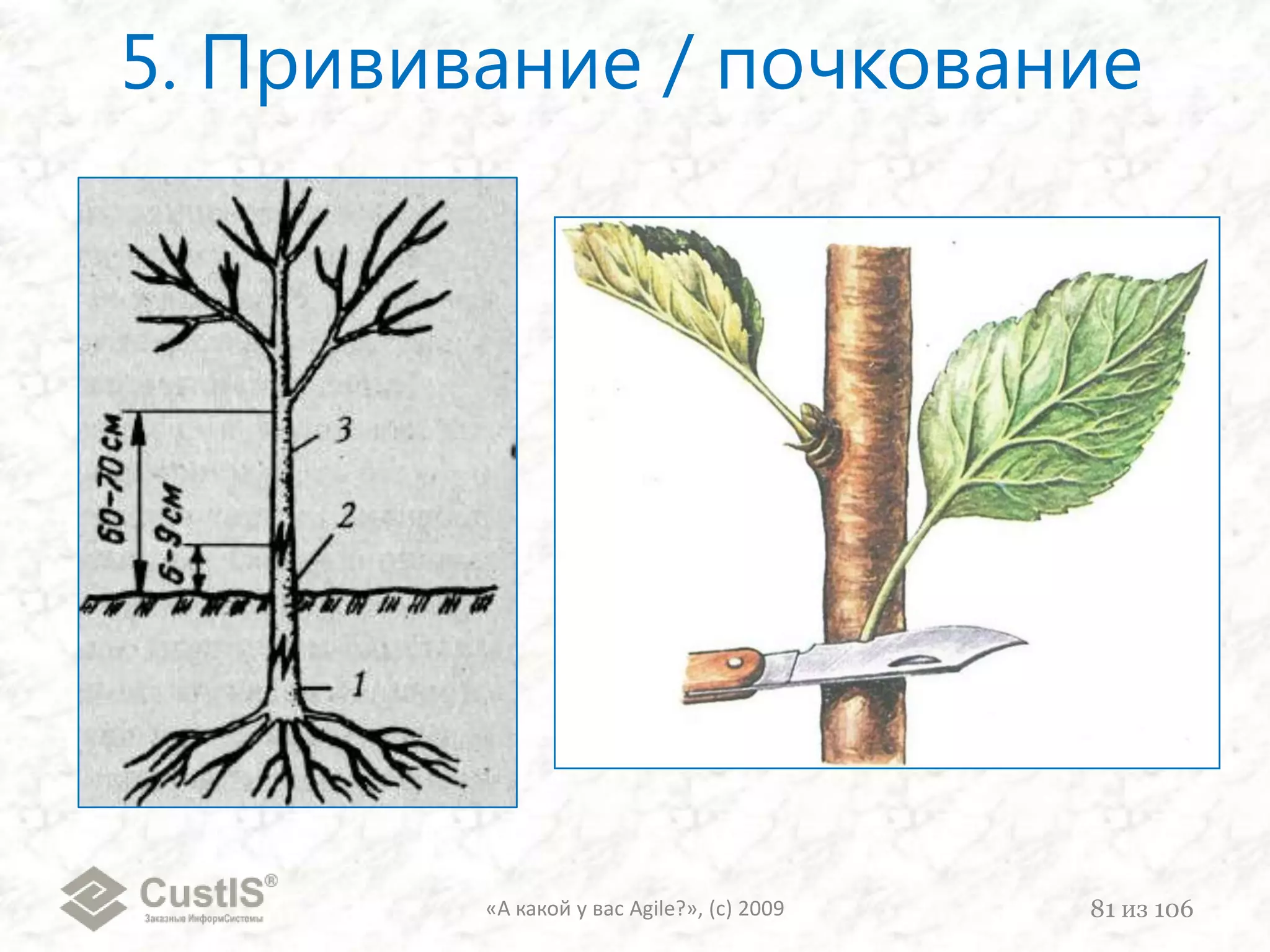 «А какой у вас Agile?», (с) 200966из 106Наглядная историяжизниодного из проектов