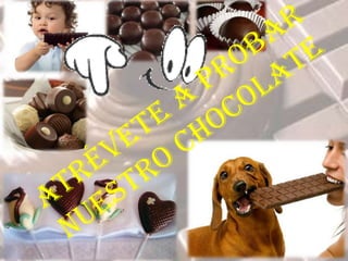 El mejor cacao se produce en México.Análisis FODA