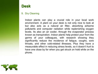 DeskDry Cleaning	Indoor plants can play a crucial role in your local work environment. A plant on your desk is not only nice to look at but also acts as a natural air filter, absorbing airborne pollutants and computer radiation while replenishing oxygen levels. Its also an air cooler, through the evaporator process known as transpiration. Indoor plants help protect your from the germs of your colleagues, with research showing they significantly reduce the incidence of fatigue, coughs, sore throats, and other cold-related illnesses. Plus they have a measurable effect in reducing stress levels, so it doesn’t hurt to have one close by for when you get struck on hold while on the phone.