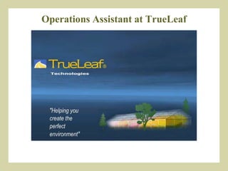 Operations Assistant at TrueLeaf 