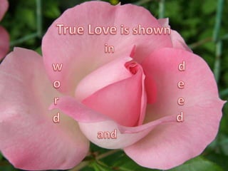 True love cares 1