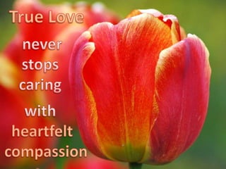 True love cares 1