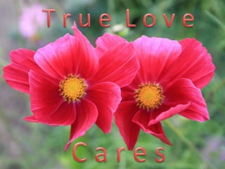 True love cares 1