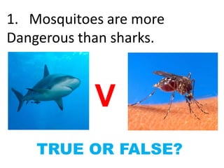 V
1. Mosquitoes are more
Dangerous than sharks.
TRUE OR FALSE?
 