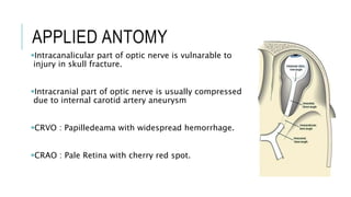 APPLIED ANTOMY
Intracanalicular part of optic nerve is vulnarable to
injury in skull fracture.
Intracranial part of optic nerve is usually compressed
due to internal carotid artery aneurysm
CRVO : Papilledeama with widespread hemorrhage.
CRAO : Pale Retina with cherry red spot.
 