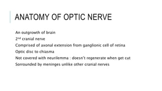 ANATOMY OF OPTIC NERVE
An outgrowth of brain
2nd cranial nerve
Comprised of axonal extension from ganglionic cell of retina
Optic disc to chiasma
Not covered with neurilemma : doesn’t regenerate when get cut
Sorrounded by meninges unlike other cranial nerves
 