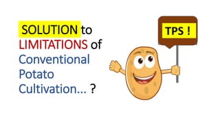 SOLUTION to
LIMITATIONS of
Conventional
Potato
Cultivation... ?
TPS !
 