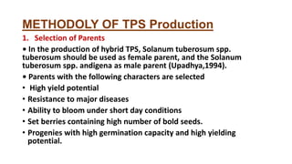 METHODOLY OF TPS Production
1. Selection of Parents
• In the production of hybrid TPS, Solanum tuberosum spp.
tuberosum should be used as female parent, and the Solanum
tuberosum spp. andigena as male parent (Upadhya,1994).
• Parents with the following characters are selected
• High yield potential
• Resistance to major diseases
• Ability to bloom under short day conditions
• Set berries containing high number of bold seeds.
• Progenies with high germination capacity and high yielding
potential.
 