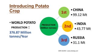 Introducing Potato
Crop 1st
•CHINA
•99.12 Mt
2nd
•INDIA
•43.77 Mt
3rd
•RUSSIA
•31.1 Mt
PRODUCTION
(Million tonnes)
•WORLD POTATO
PRODUCTION :
376.87 Million
tonnes/Year
DATA SOURCE : www.atlasbig.com
 