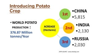 • WORLD POTATO
PRODUCTION :
376.87 Million
tonnes/Year
Introducing Potato
Crop
1st
•CHINA
•5,815
2nd
•INDIA
•2,130
3rd
•RUSSIA
•2,030
ACREAGE
(Hectares)
DATA SOURCE : www.atlasbig.com
 
