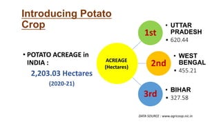 • POTATO ACREAGE in
INDIA :
2,203.03 Hectares
(2020-21)
Introducing Potato
Crop
1st
• UTTAR
PRADESH
• 620.44
2nd
• WEST
BENGAL
• 455.21
3rd
• BIHAR
• 327.58
DATA SOURCE : www.agricoop.nic.in
ACREAGE
(Hectares)
 