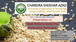 CHANDRA SHEKHAR AZAD
University of Agriculture & Technology
Kanpur 208002, Uttar Pradesh, India.
SST – 599 COURSE SEMINAR
Presentation on
TRUE POTATO SEED(TPS)
Production Technique
BY : A N K I T S I N G H
M.Sc. Ag. II YEAR
ADVISOR : Dr. V. P. Bajpai
Asst. Professor, Department of
Seed Science & Technology.
 
