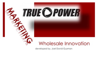 Wholesale Innovation
developed by, Joel David Guzman
 
