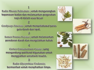 1 Radix Rheum Palmatum ; untukmengurangkankepanasanbadandanmelancarkanpergerakannajisdidalamususbesar2CordycepsSinensis ; untukmenyeliakawalparasguladarahdan lipid.3 Semen PrunusPersica ;untukmelancarkanperedarandarahdanmengelakkankahak4 Cortex Cinnamomum Cassia ; yang mengandungipolifenoldigunakanuntukmenggiatkansensitiviti insulin.5 Radix Glycyrrhiza Uralensis; bermanfaatuntukmenyihatkanlimpa.