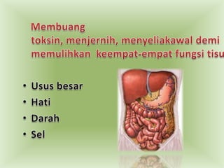 Membuangtoksin, menjernih, menyeliakawaldemimemulihkankeempat-empatfungsitisu: UsusbesarHatiDarahSel