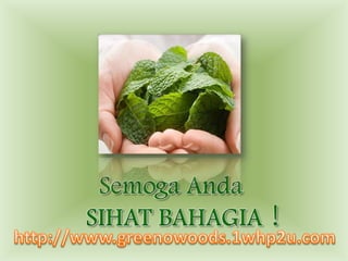 Penyingkiraantoksin yang menyeluruh