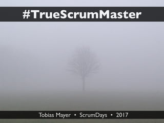 Tobias Mayer • ScrumDays • 2017
#TrueScrumMaster
 