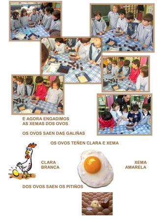 E AGORA ENGADIMOS
AS XEMAS DOS OVOS

OS OVOS SAEN DAS GALIÑAS

           OS OVOS TEÑEN CLARA E XEMA



       CLARA                               XEMA
       BRANCA                           AMARELA



DOS OVOS SAEN OS PITIÑOS
 